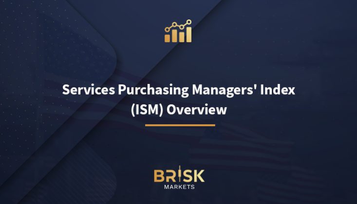 Services Purchasing Managers' Index (ISM) Overview - Brisk Markets Blog